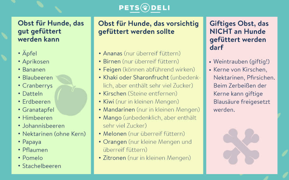 Welches Obst dürfen Hunde essen? Unsere Listen Pets Deli