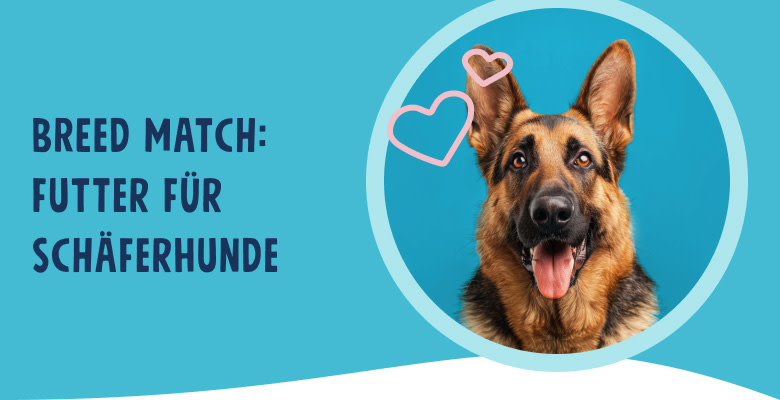 PNJ-header-mobile-dog-shepherd-DE-250912