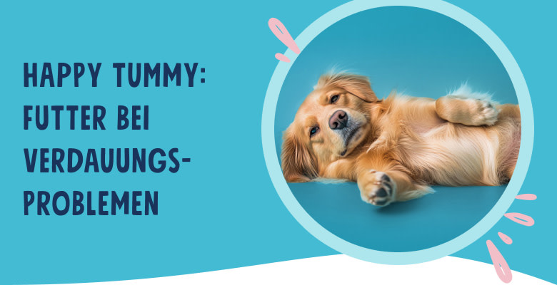 PNJ-header-mobile-dog-digestion-DE-250912