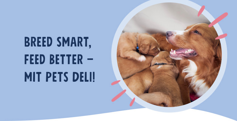 PD-Breeder-Program-Mobile-01-Header-DE-250917