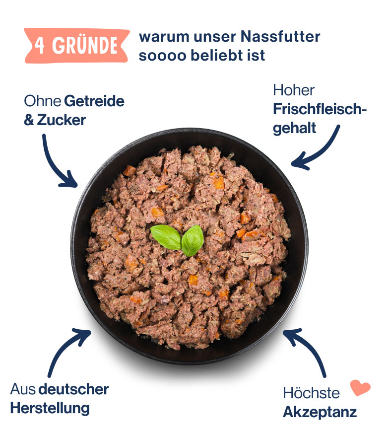 LP - Paid Social - Probierpaket Hundeliebe - 50% Für Hunde - Bowl Shot