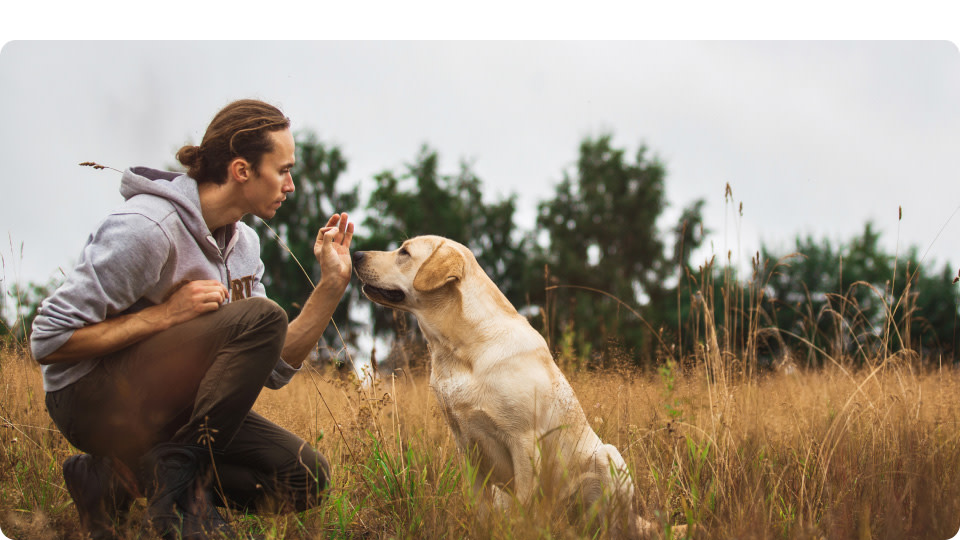 PD-Doguniversity-Desktop-03-Image-Benefits-250807