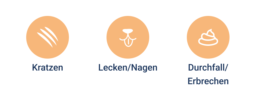 PD-LP-cat nutritional-banner desktop icons+text allergies (1)