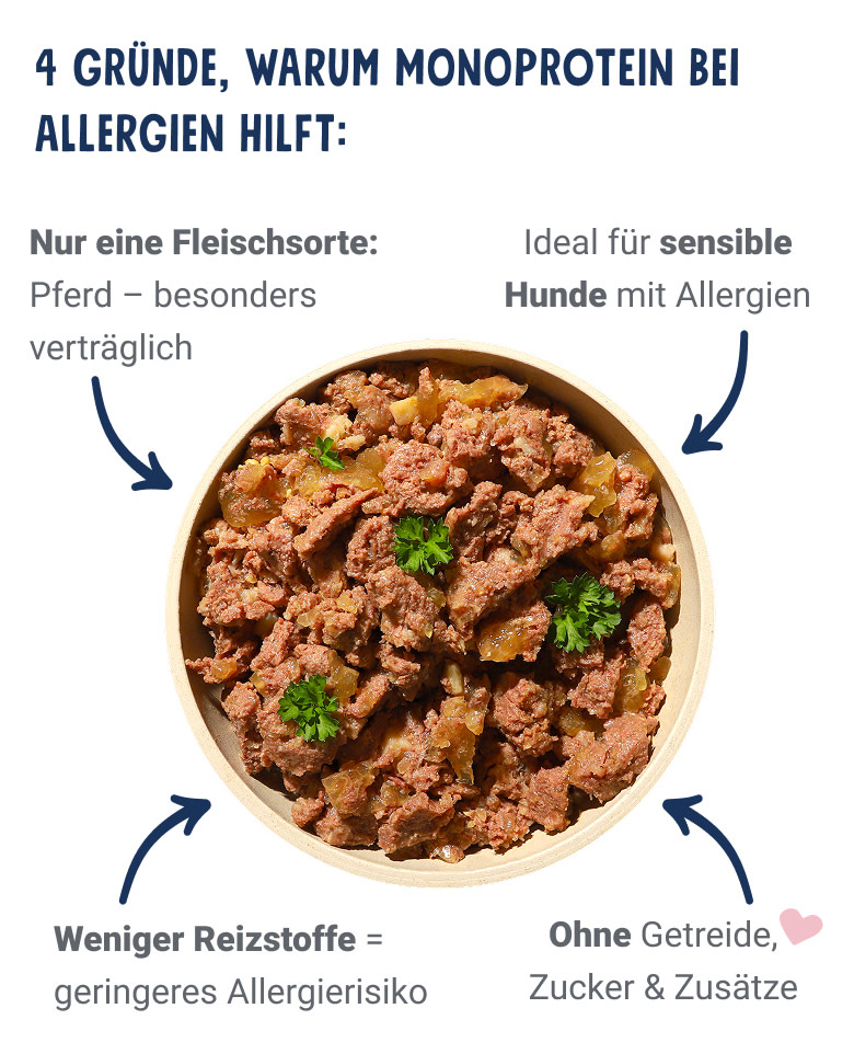 PD-LP-dog-hypo-box-04-bowl-250903