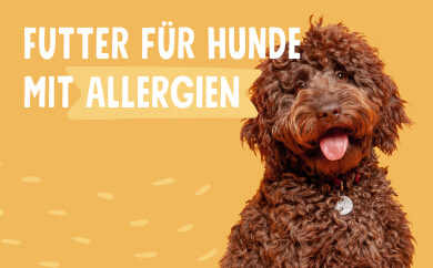 futter für hunde  mit allergien