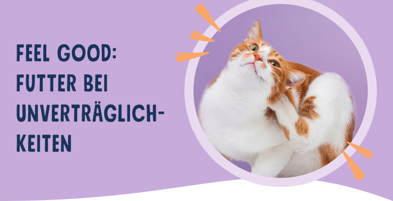 PNJ-header-mobile-cat-allergies-DE-250912