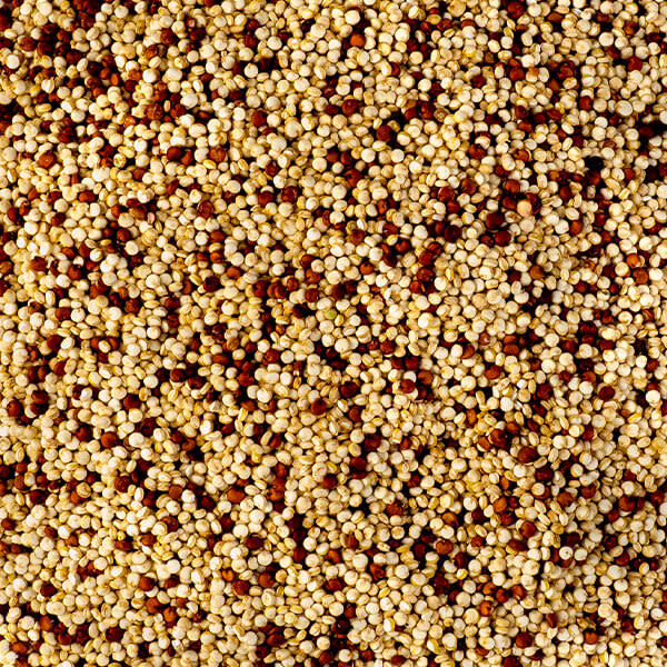 Quinoa