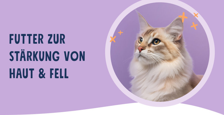 PNJ-header-mobile-cat-skin-fur (1)