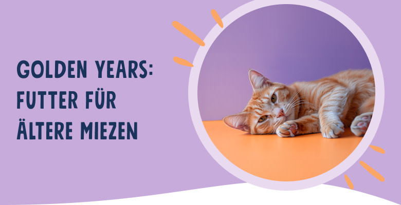PNJ-header-mobile-cat-senior-DE-250912