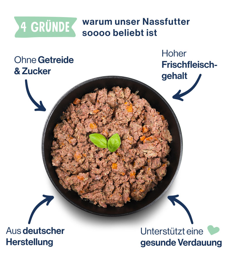 LP - Paid Social - Probierpaket Verdauungswunder A - Bowl Shot