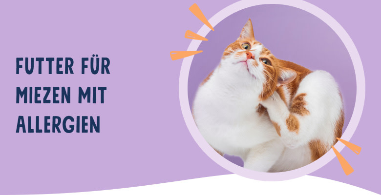 PNJ-header-mobile-cat-allergies