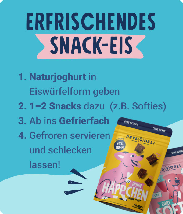PD-adtile-desktop-dog-diy-ice-snacks-250623