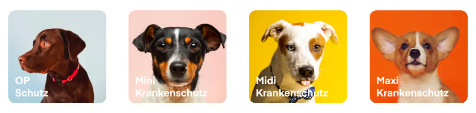 Entdecke Lassie - Pets Deli