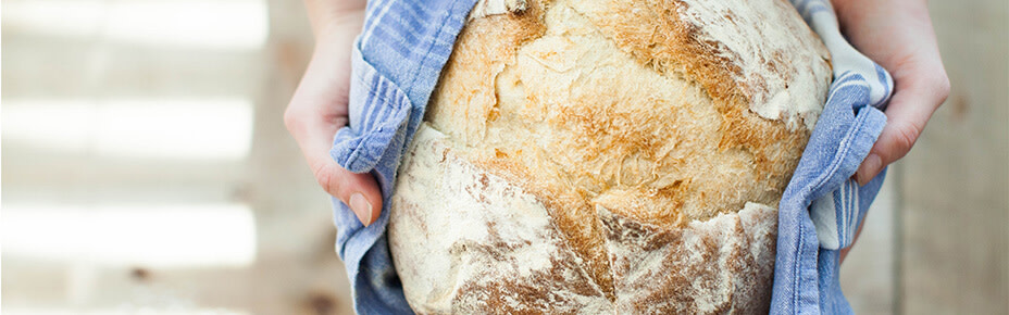 header brot für hunde