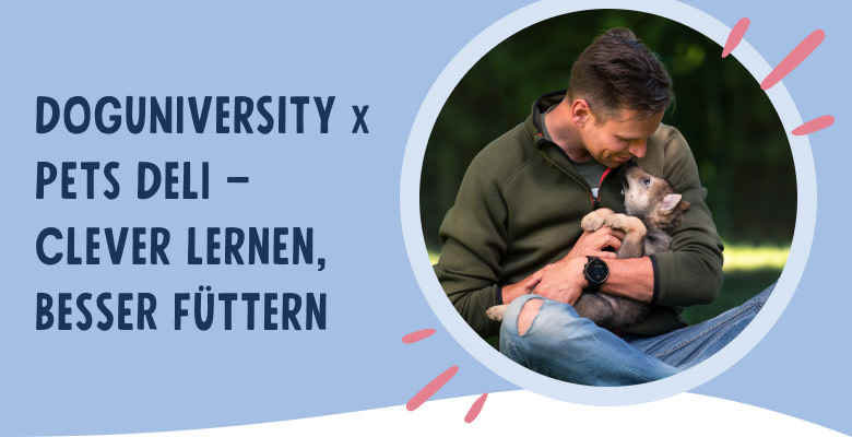 PD-Doguniversity-Mobile-01-Header-DE-250807 (1)