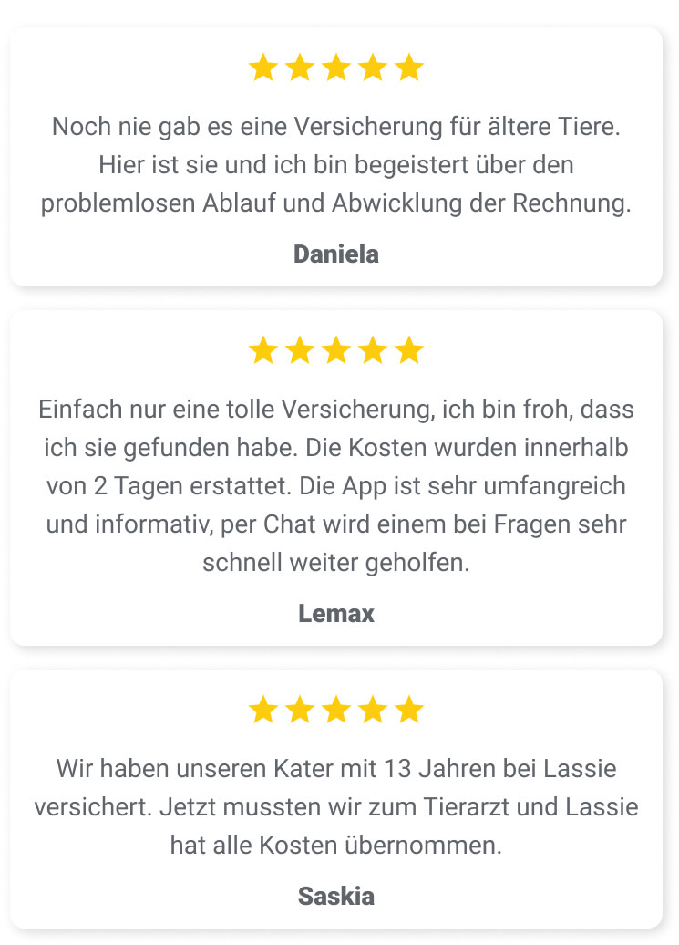PD-Lassie-Mobile-04-Customer-Quotes-DE-250806