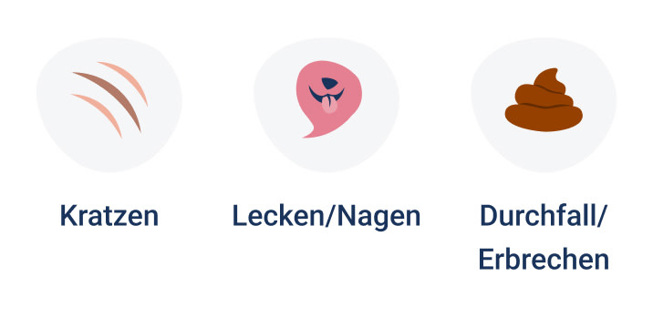 PNJ-symptoms-mobile-cat-allergies-250910