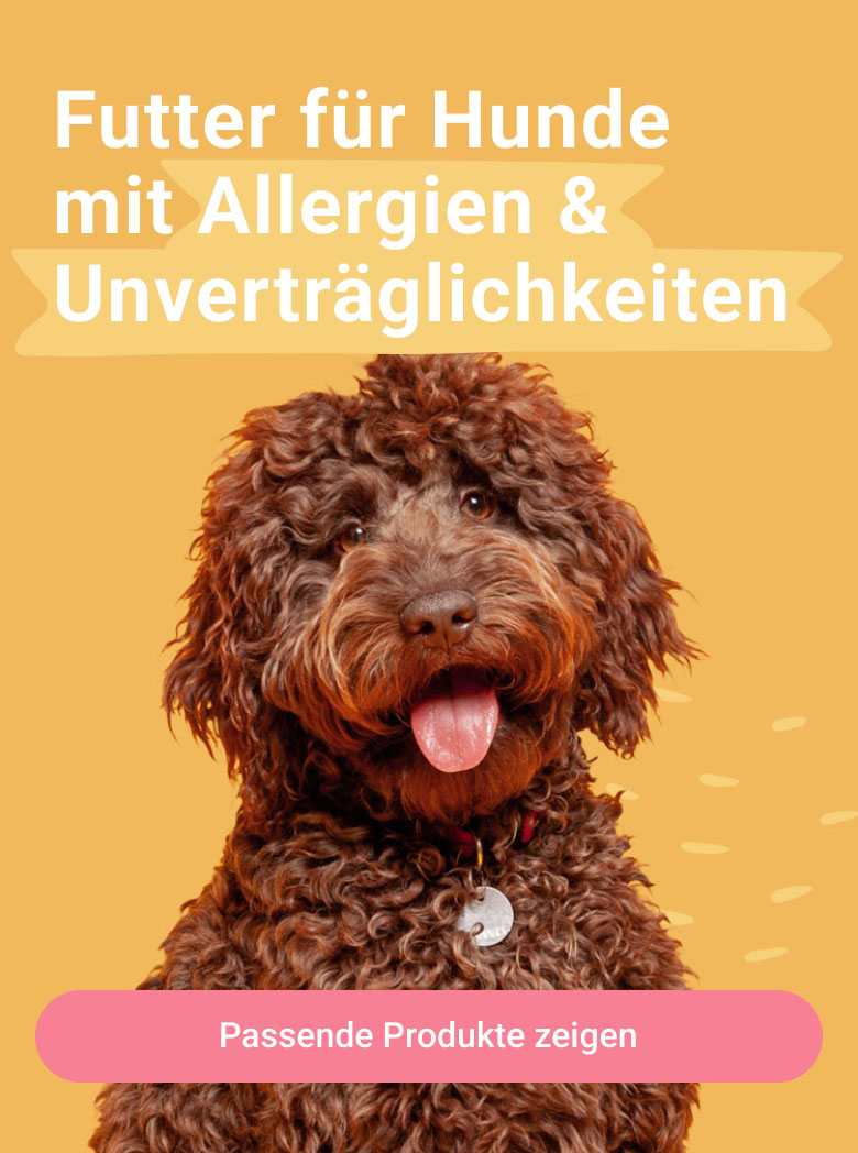 PD-LP-dog-needs-header-01-allergies-240110