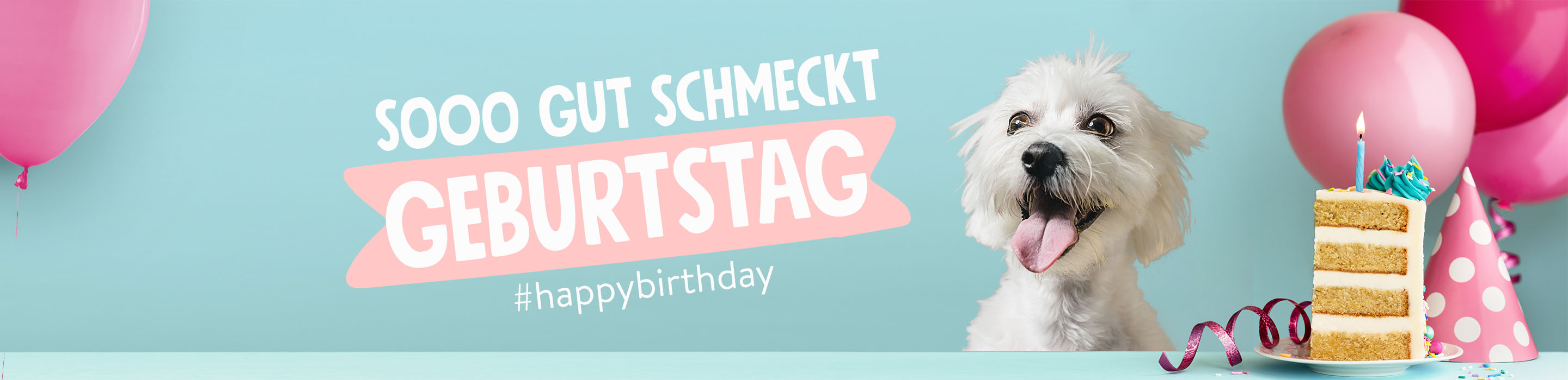 221125-CDP-Header-Desktop-birthday-dog-01