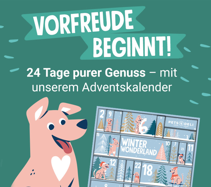 PD-CDP-adtile-mobile-advent-calendar-launch-dog-240917