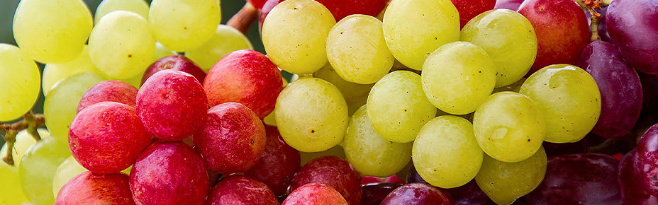 Rote und gelbe Weintrauben