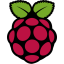 raspberry-pi logo