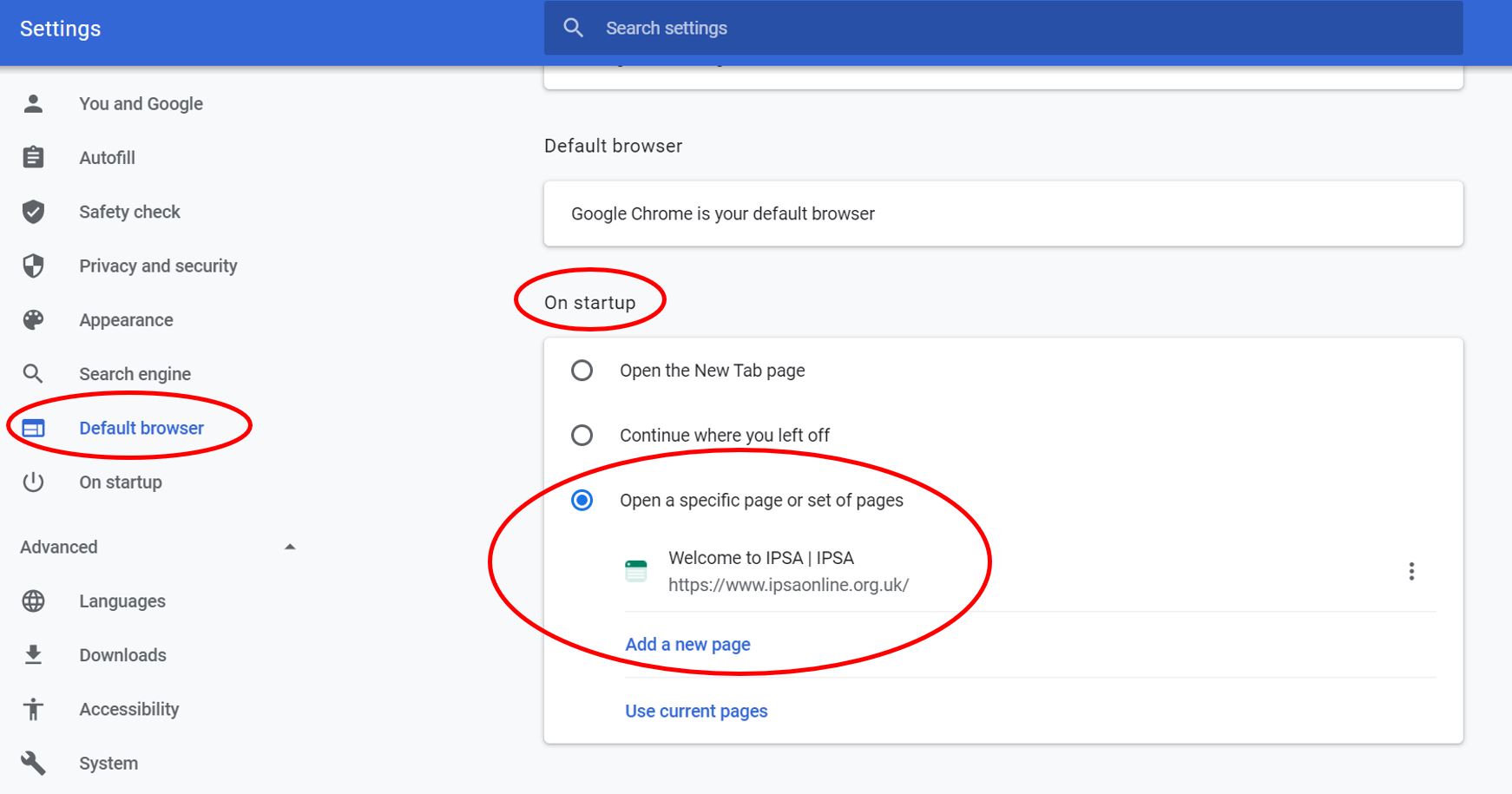 IPSA website default tab (Google)