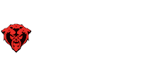 Betzerk Casino