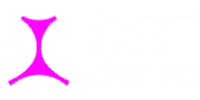 Katt Casino