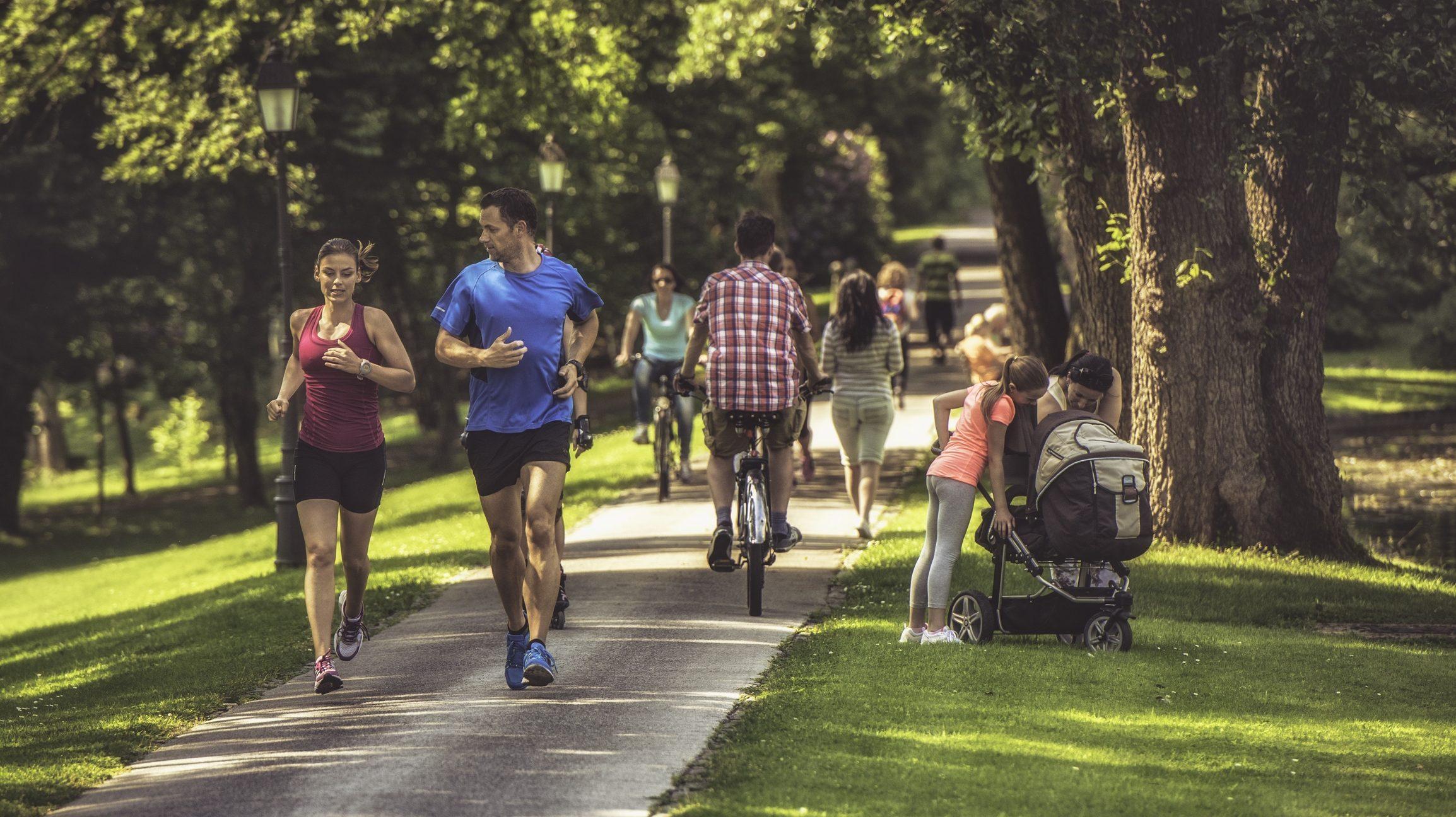 Council rates: everything you need to know