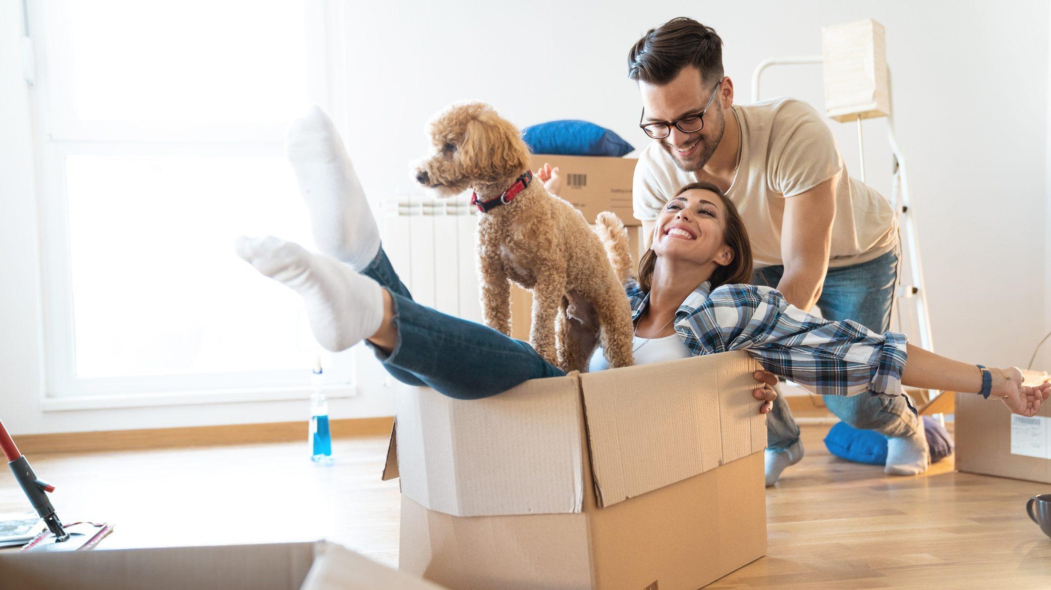 Variable loans: all you need to know
