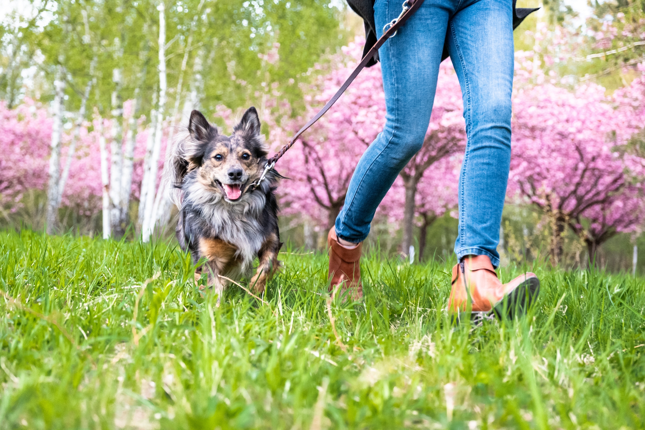 What will the spring property market bring this year?