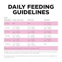 Go! Solutions Skin + Coat Care Chicken Recipe with Grains cat food feeding guidelines