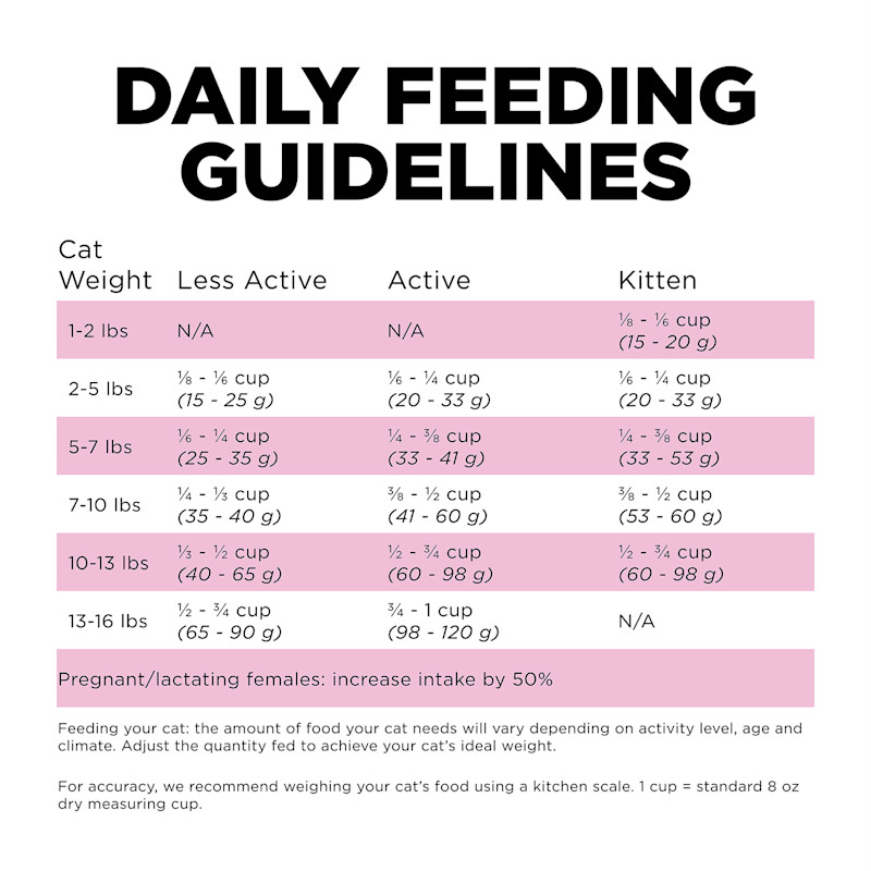 Go! Solutions Skin + Coat Care Chicken Recipe with Grains cat food feeding guidelines