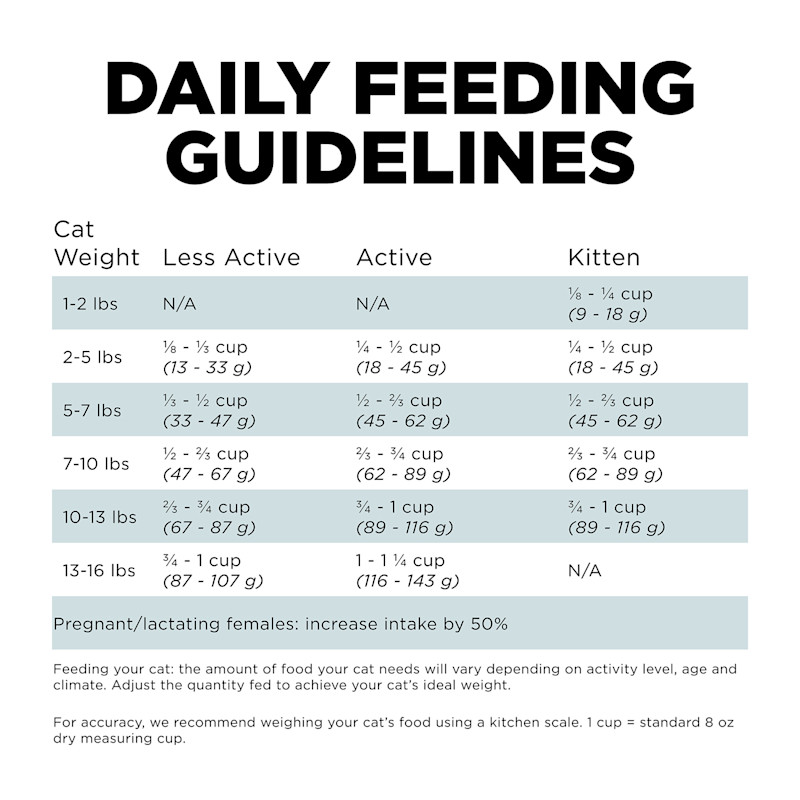 Go! Solutions Digestion + Gut Health Chicken Recipe with Ancient Grains cat food feeding guidelines