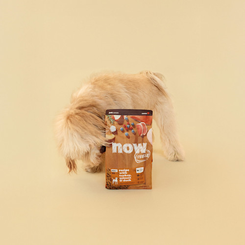 Dog sniffing bag of Now Fresh kibble