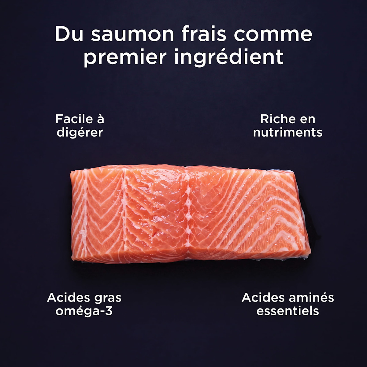 Fresh salmon as the first ingredient