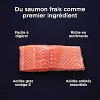 Fresh salmon as the first ingredient