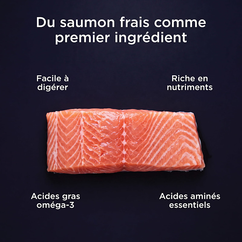 Fresh salmon as the first ingredient