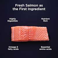 Fresh salmon as the first ingredient