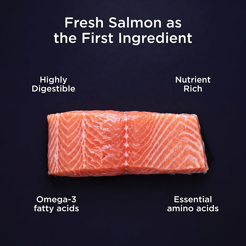 Fresh salmon as the first ingredient