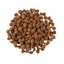 Go! Solutions Hairball Control + Urinary Care Chicken Recipe with Grains for Cats kibble