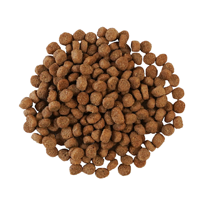 Go! Solutions Hairball Control + Urinary Care Chicken Recipe with Grains for Cats kibble