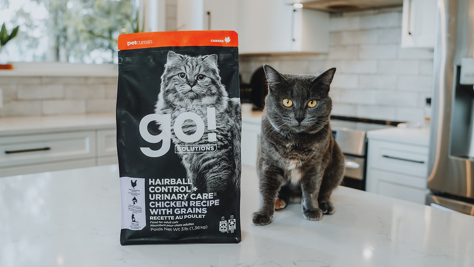 Hairball Control with Go Solutions Petcurean