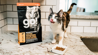 GO-SOLUTIONS-cat-on-kitchen-counter-with-tongue-out-beside-kibble-and-packaging