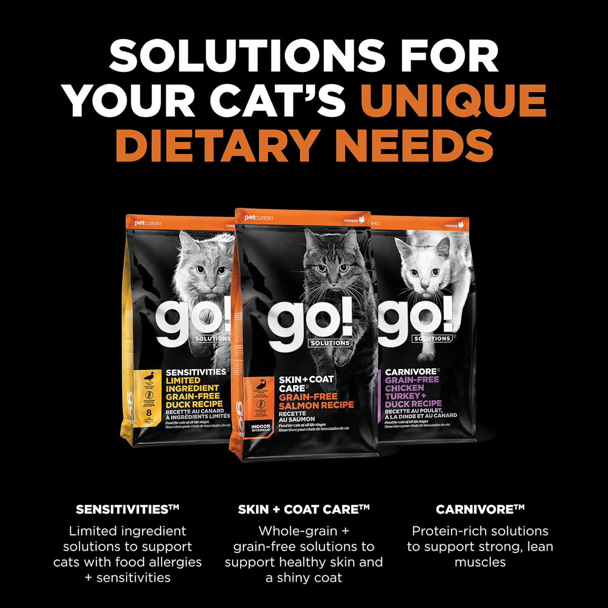 Explore our other cat food solutions