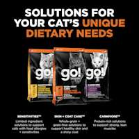 Explore our other cat food solutions