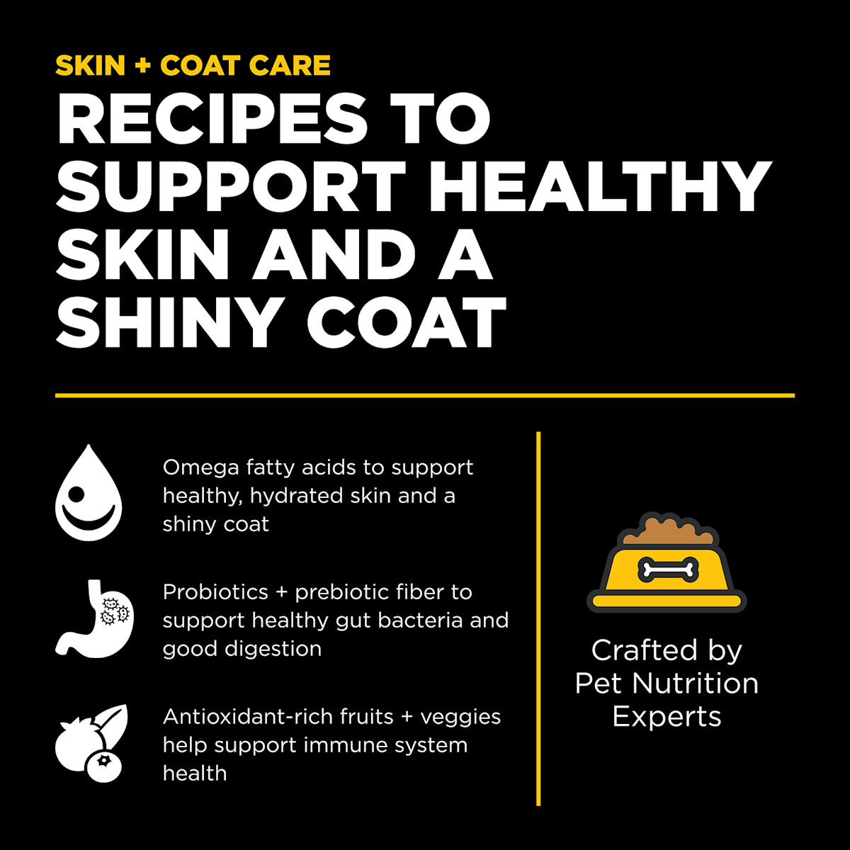Recipes to support healthy skin and a shiny coat