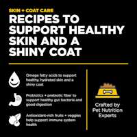 Recipes to support healthy skin and a shiny coat