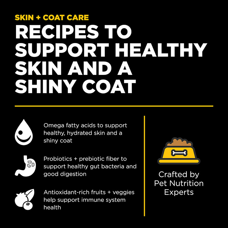 Recipes to support healthy skin and a shiny coat